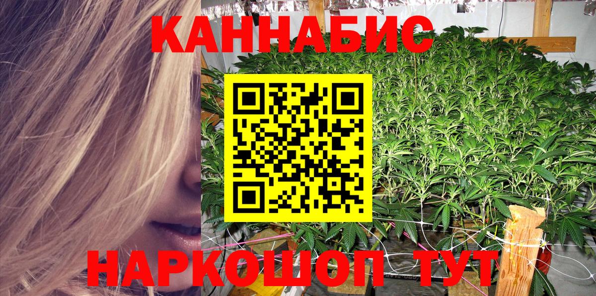 Фрязино  Бошки Шишки VHQ  Марихуана White Widow  Вход с VPN  Бошки Шишки OG Kush 